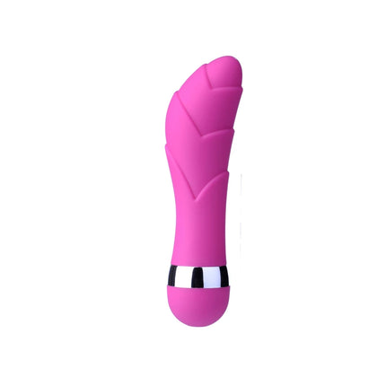 Anal & Vaginal Stimulator Plug